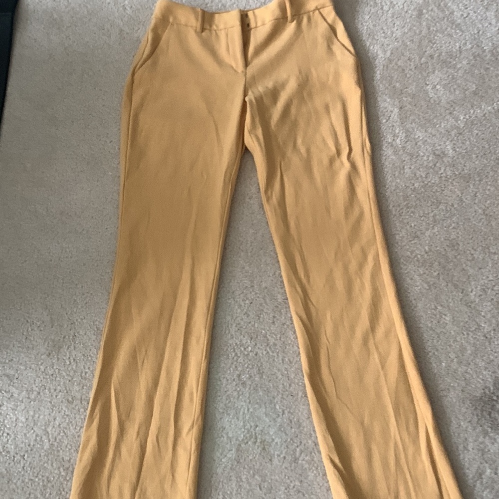Express MID RISE BARELY BOOT COLUMNIST PANT